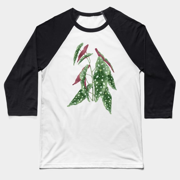 Begonia maculata plant | Polka dot plant Baseball T-Shirt by gronly